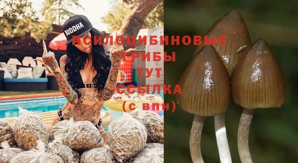 наркотики Белокуриха