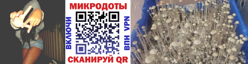 Галлюциногенные грибы Cubensis  Светогорск 